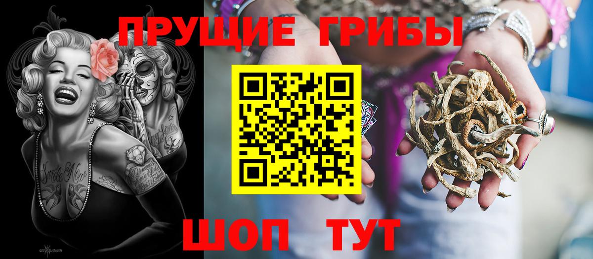 Псилоцибиновые грибы Psilocybe  Вход с VPN  Кимовск 