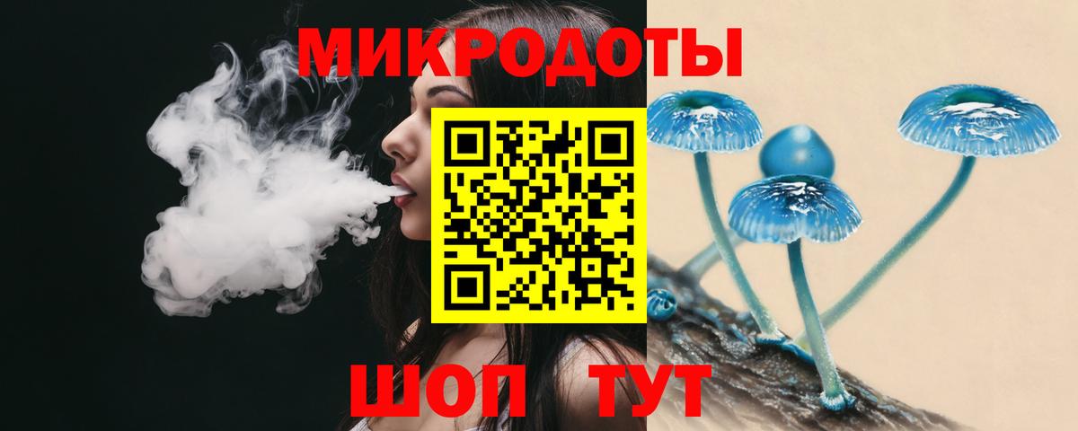 Галлюциногенные грибы Psilocybine cubensis Кимовск