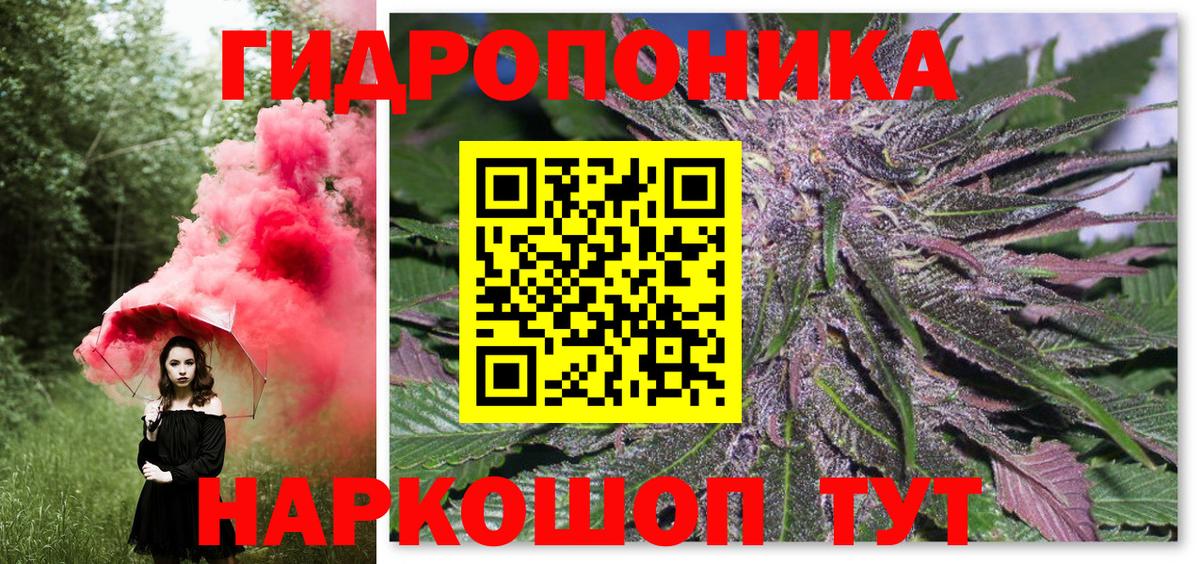 Канабис сатива Кимовск
